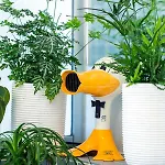 Island In Island, Boutique, Design Et Vintage * Namur