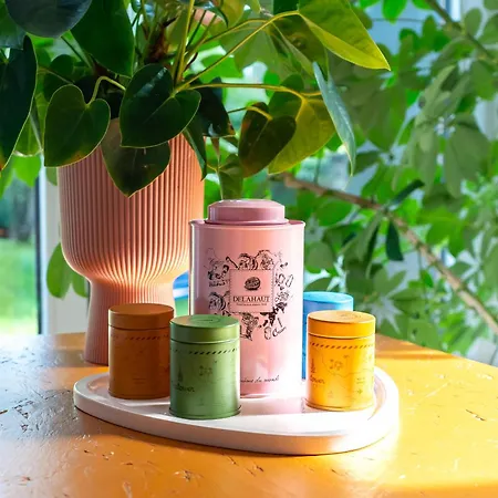 Island In Island, Boutique, Design Et Vintage Appartement Namur